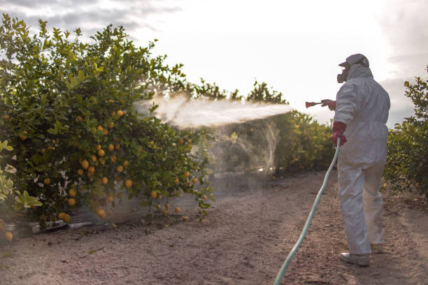 Best Bed Bug Extermination  in East Moriches, NY