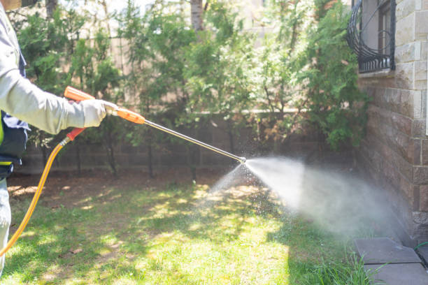 Best Pest Prevention Services  in East Moriches, NY